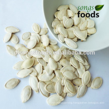 Different Types of Seeds With Good Quality